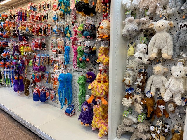 ruiter en dier zeeman ingang ruiter en dier zeeman