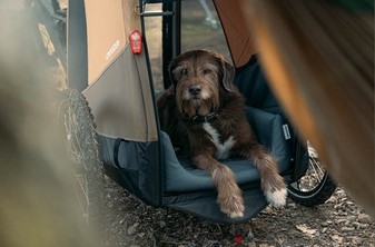 Croozer fietskar nieuw model