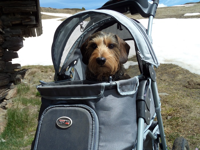 dierenshop.nl comfort buggy innopet