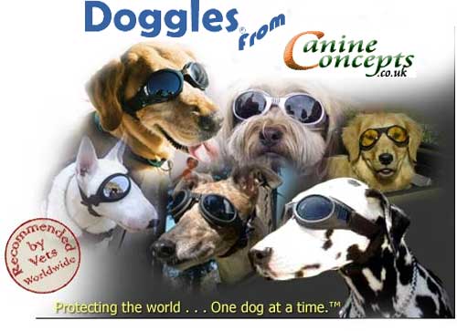 Doggles zon en beschermbril chrome honden