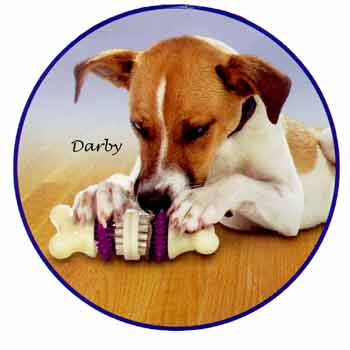 Busy Buddy Bristle Bone met hond