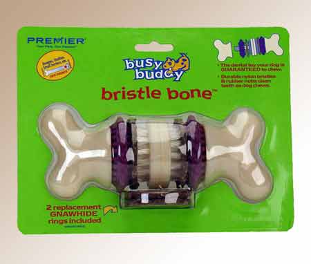 Busy Buddy Bristle Bone