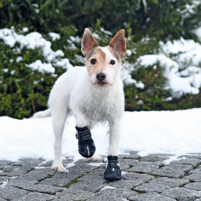 hondenschoenen trixie