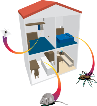 Elektronische verjager tegen bedwants, muizen, spinnen, vlooien 140m2-2971
