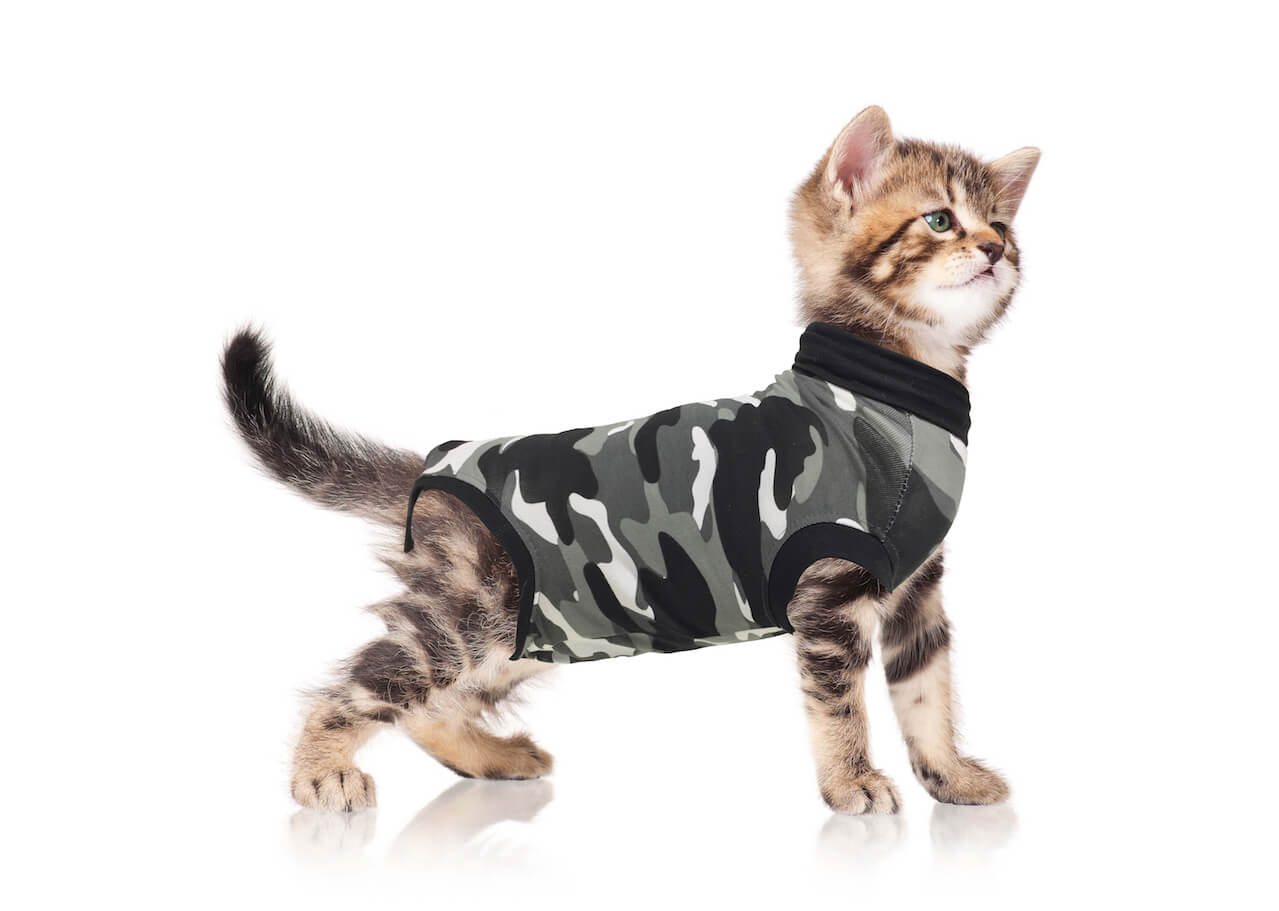 Suitical Recovery Suit kat, bescherm sweater-3835