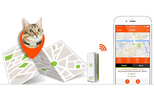 GPS halsband voor katten Weenect-0