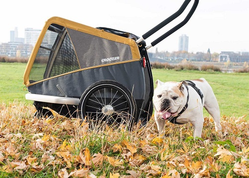 wandelset croozer hondenkar
