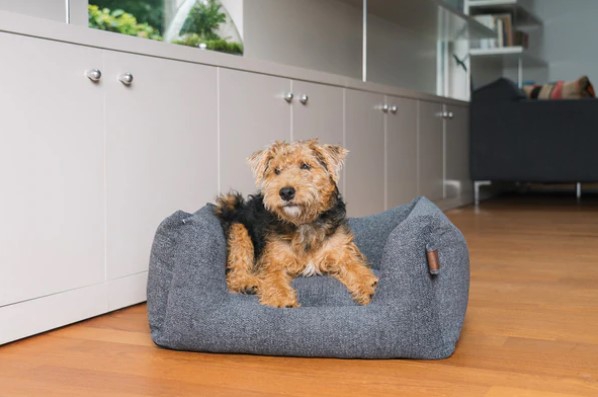 Fantail hondenmand Snooze Epic Grey Fantail hondenmand Snooze Epic Grey