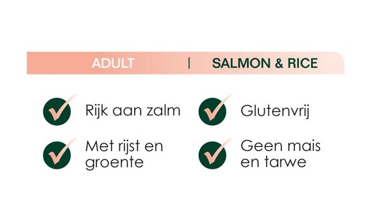 Premium Care Original Adult Salmon & Rice 3 kg-9687