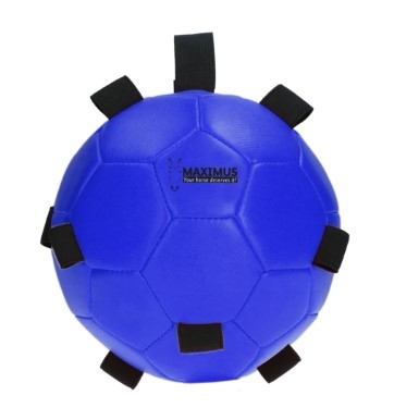 Maximus Fun Play Ball voor Ezels-9975