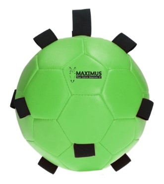 Maximus Fun Play Ball voor Ezels-9976