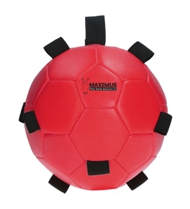 Maximus Fun Play Ball voor Ezels-9982