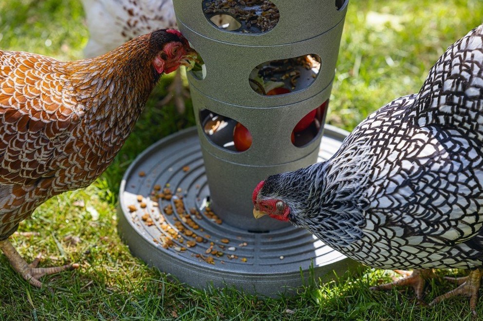 Beeztees Voertoren Kip Grijs